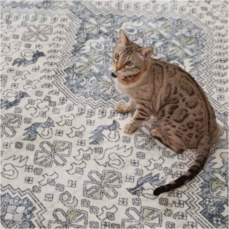 Tapete Nadia Tribal de Medallón en Azul y Crema